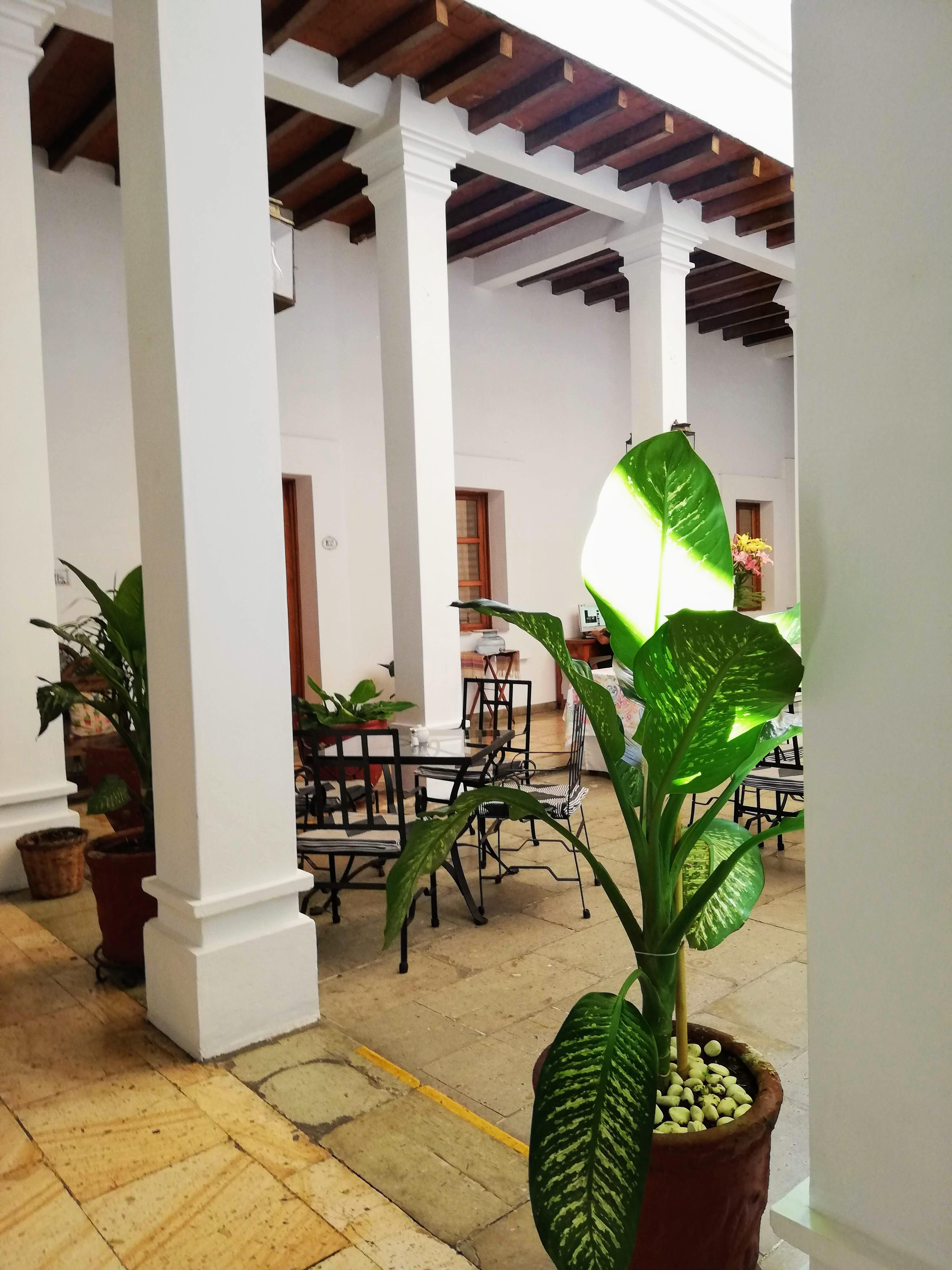 Hotel Aitana Oaxaca Exteriör bild